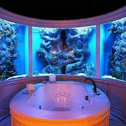 City aquaruim bathroom aquarium.jpg