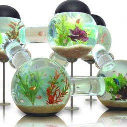 Cool fish tank design.jpg