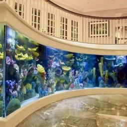 Elegant aquarium wall.jpg