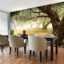 Olivenbaume landschaften fototapeten f.jpg