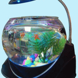 Small aquarium light decoration glass aquariums.gif