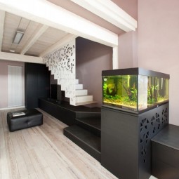 Small modern fish tank designs.jpg