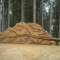 Umenie z palivoveho dreva 1.jpg