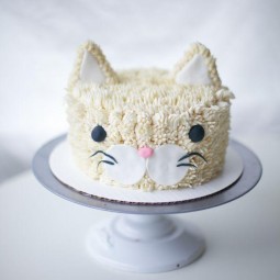 A real cool cat cat cake.jpg