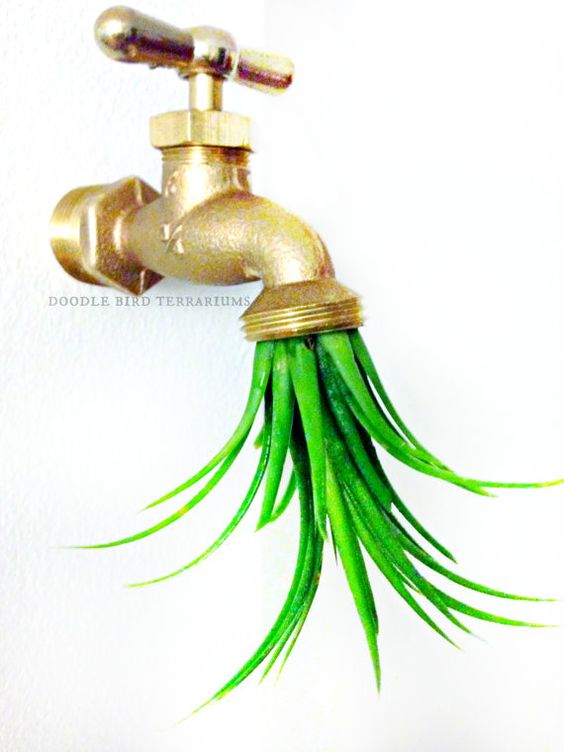 Air plant holders made from iron f.jpg