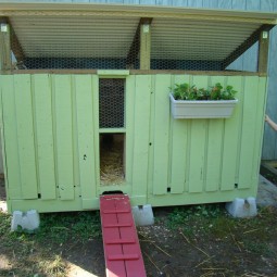Build a pallet chicken coop for your flock.jpg