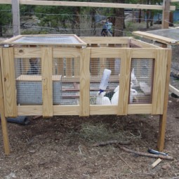 Build a rabbit hutch with pallets.jpg