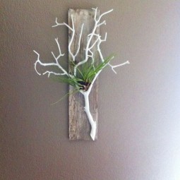 Naturalness in air plant holder wi.jpg