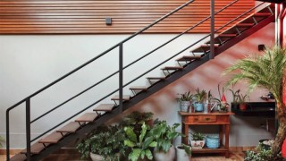 Plants under the stairs.jpg