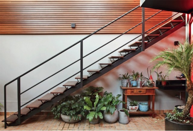 Plants under the stairs.jpg