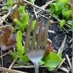 Use silverware as plant markers.jpg