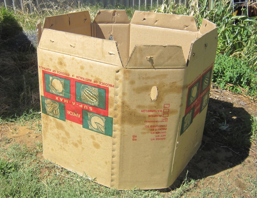 A cardboard bulk box makes for a perfect compost bin.jpg