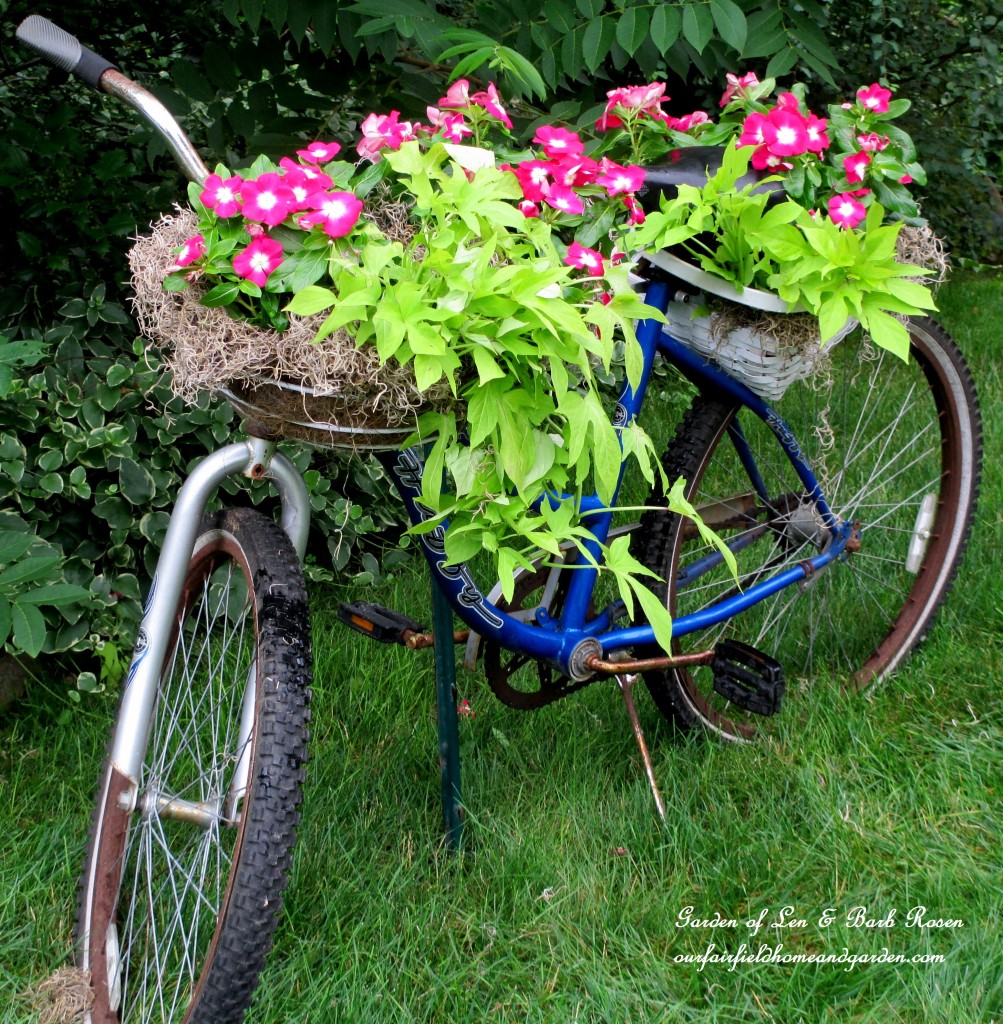 Bicycle planter.jpg