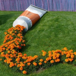 Blumen attraktiv pflanzen malfarbe orange tagetes.jpg