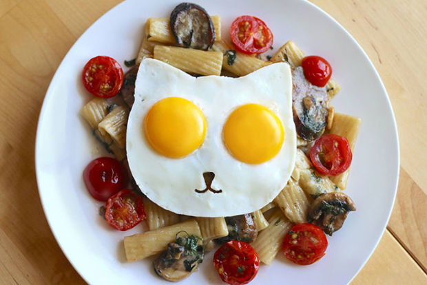 Cat egg 3jpg.jpg