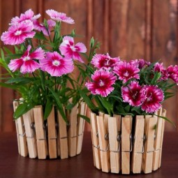 Clothespin transformed into flowers vases.jpg
