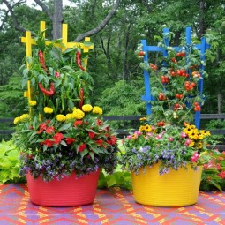 Colorful vegetable garden.jpg