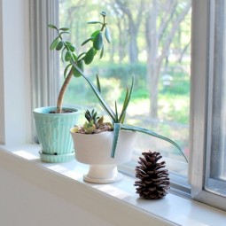 Fensterbank deko schlicht idee tannenzapfen sukkulenten toepfe.jpg