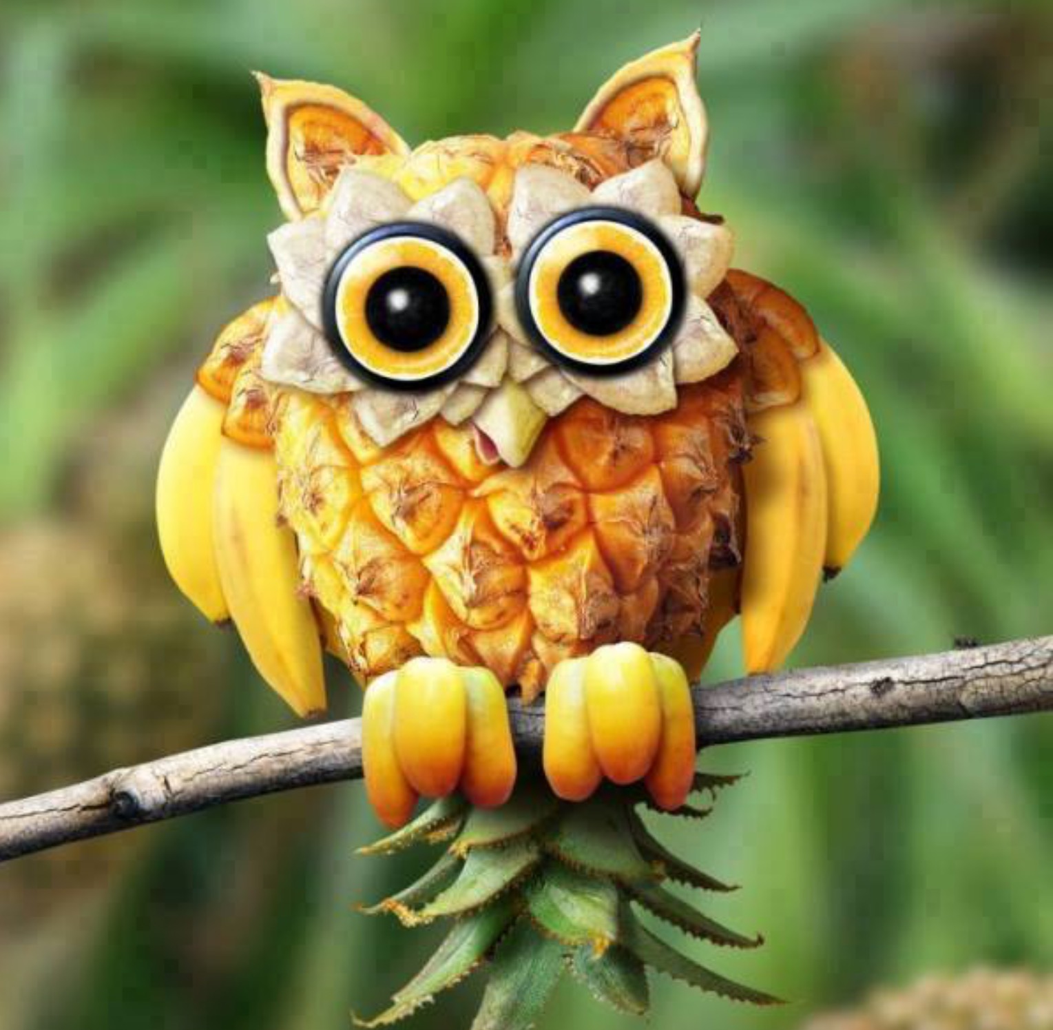 Clever Photos of Animals Made Out of Food | PetaPixel