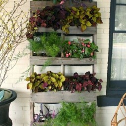Plant stand out pallets.jpg