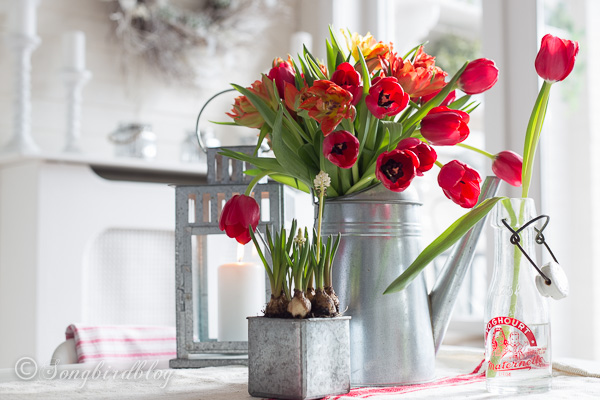 Red_tulips_spring_decor 4.jpg