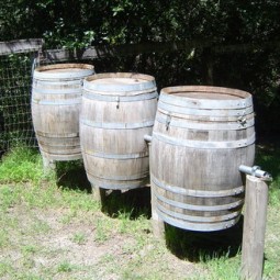 Wine barrel compost bins.jpg