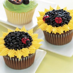 550062eb4f74a ghk sunflower cupcakes with ladybugs 0503 s3.jpg