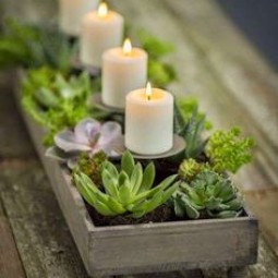 Candles with succulents.jpg