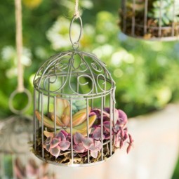 Diy miniature succulent bird cage planter.jpg