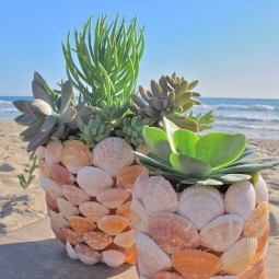 Diy seashell succulent planter.jpg