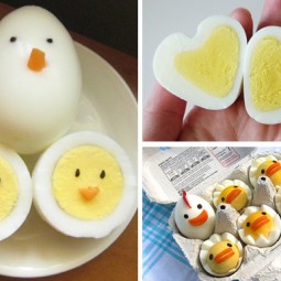 Eggchicks.jpg