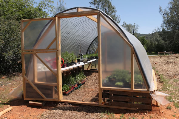 Greenhouse made from pallets.jpg