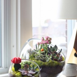 Mini succulent garden in glass bowl 696x1011.jpg