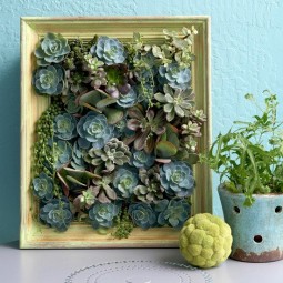 Succulent picture frame 10.jpg