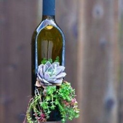 Succulent wine bottle planters.jpg
