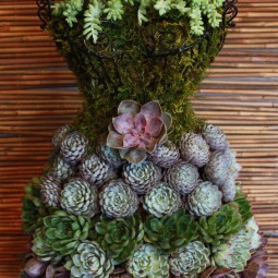 Succulents on a wire dress .jpg
