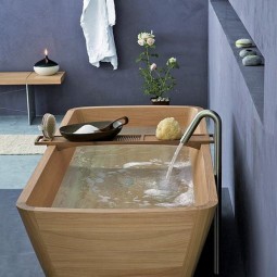 Beautiful bathtub designs 11.jpg