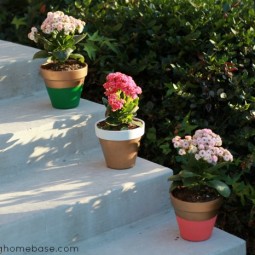Paint flower pots.jpg