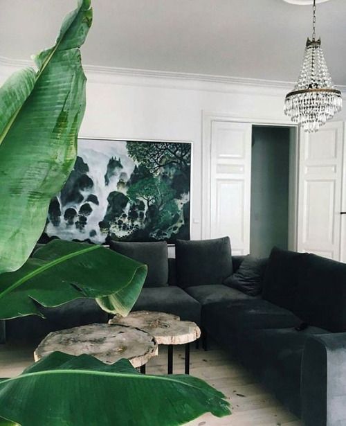 Tropical inspired living room.jpg