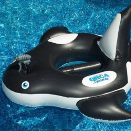 05 funny orca inflatable float.jpg