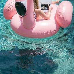14 pink flamingo float is a funny and cute idea.jpg