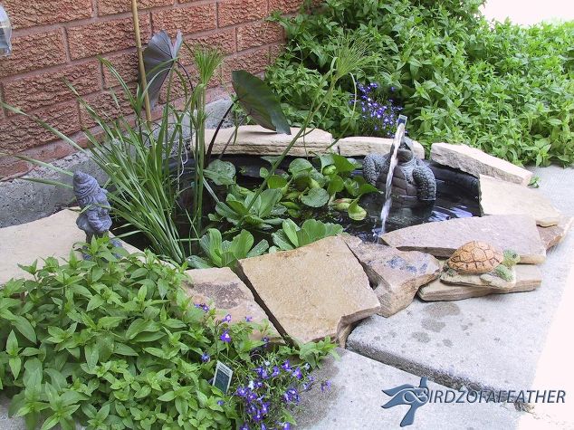 1459444277 create a small water feature curb appeal diy home improvement.jpg