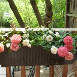 Blumenkasten balkon schoene wohnideen exterieur rosen.jpg