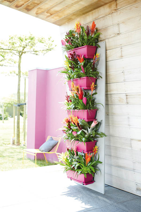03 bright pink adds a pop of color and accents vibrant bromeliads vertical garden homebnc.jpg