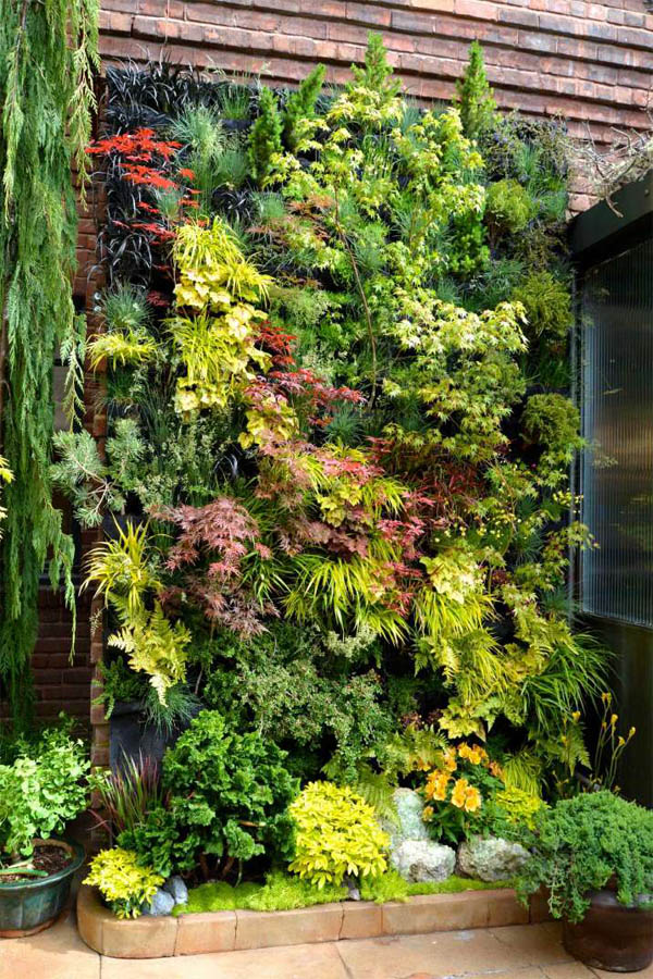 04 create a living wall of leaves garden homebnc.jpg