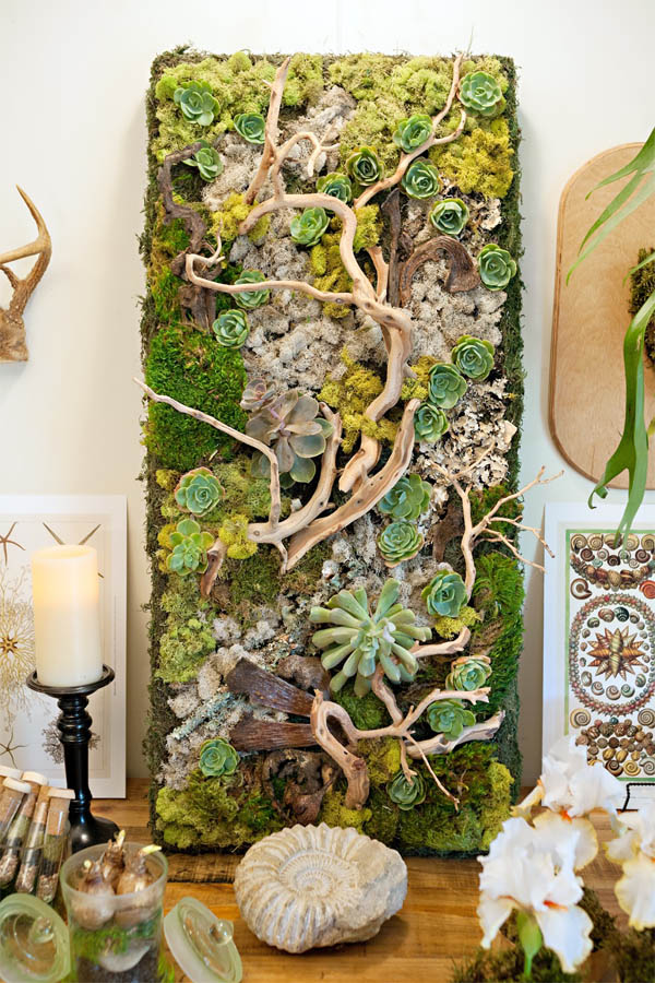 10 embellished wall panel showcases succulents and driftwood vertical garden idea homebnc.jpg