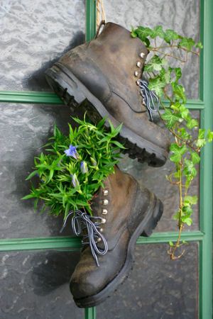 Old mountain boots used as flower pots on the entrance door of a house