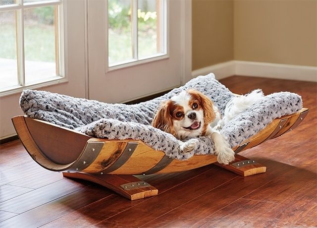 98976cca3906db389405f81f71e471d7 cool dog beds doggie beds.jpg