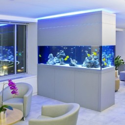 Aquarium house architectureartdesigns 7.jpg