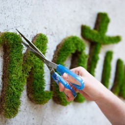 Moss graffiti moss natur.jpg